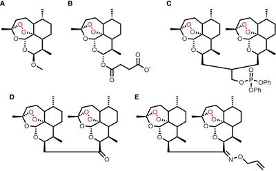 A Novel 2-Carbon-Linked Dimeric Artemisinin With Potent Antileukemic Activity and Favorable Pharmacology